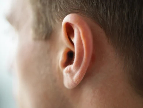 Traumatic Auricle Injuries in Martial Arts: Causes, Dx, Tx, Prevention
